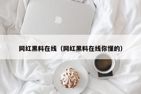网红黑料在线(网红黑料在线你懂的)