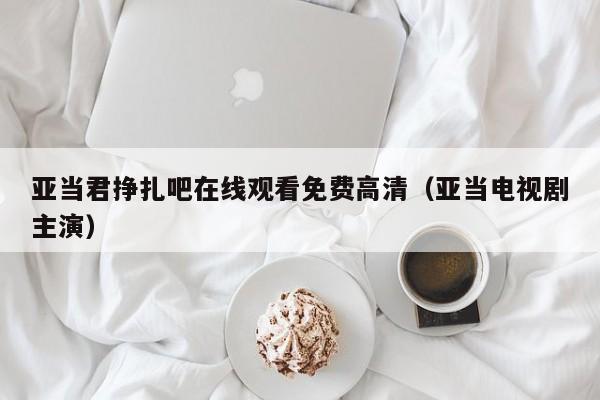 亚当君挣扎吧在线观看免费高清(亚当电视剧主演)