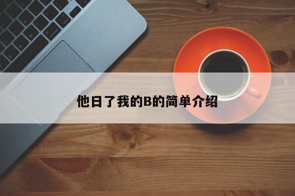 他日了我的B的简单介绍