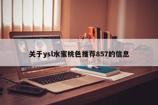 关于ysl水蜜桃色推荐857的信息