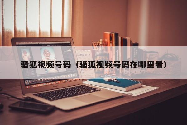 骚狐视频号码(骚狐视频号码在哪里看)