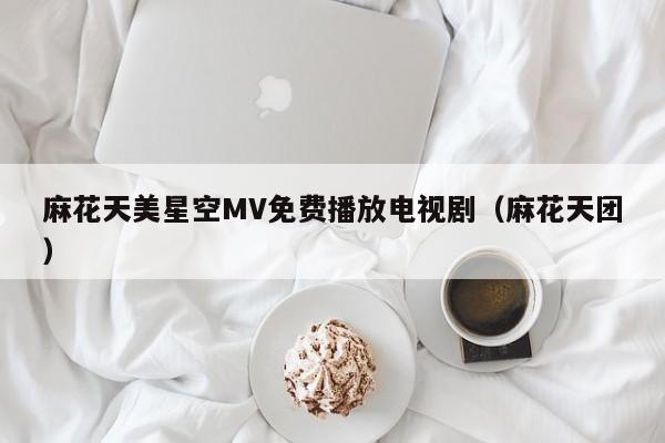 麻花天美星空MV免费播放电视剧(麻花天团)
