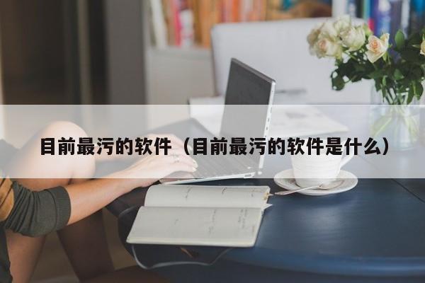 目前最污的软件(目前最污的软件是什么)