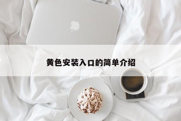 黄色安装入口的简单介绍