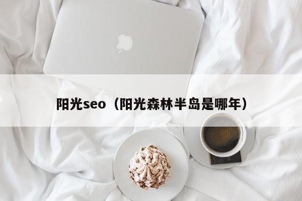 阳光seo(阳光森林半岛是哪年)