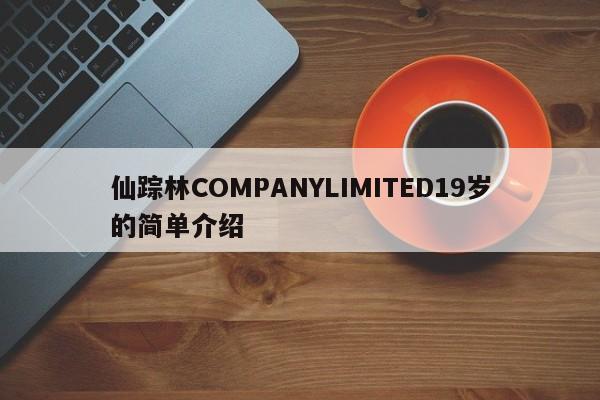 仙踪林COMPANYLIMITED19岁的简单介绍