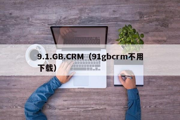 9.1.GB.CRM(91gbcrm不用下载)