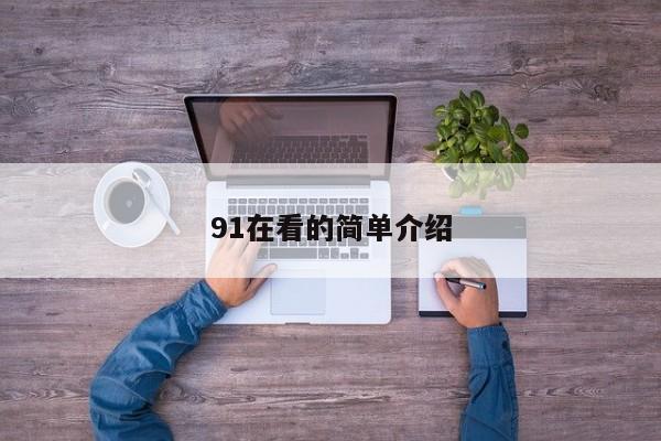 91在看的简单介绍