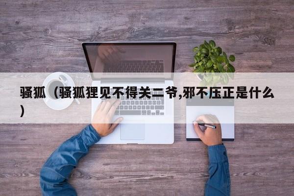 骚狐(骚狐狸见不得关二爷,邪不压正是什么)
