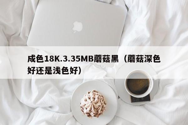成色18K.3.35MB蘑菇黑(蘑菇深色好还是浅色好)