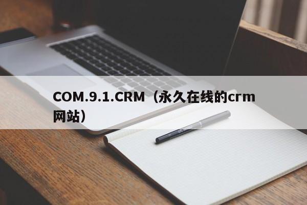 COM.9.1.CRM(永久在线的crm网站)
