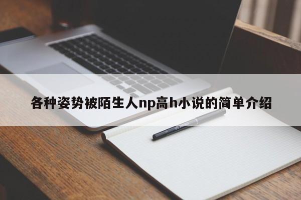 各种姿势被陌生人np高h小说的简单介绍