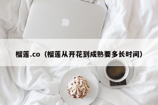 榴莲.co(榴莲从开花到成熟要多长时间)
