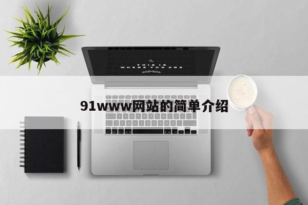 91www网站的简单介绍