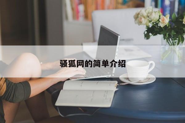 骚狐网的简单介绍