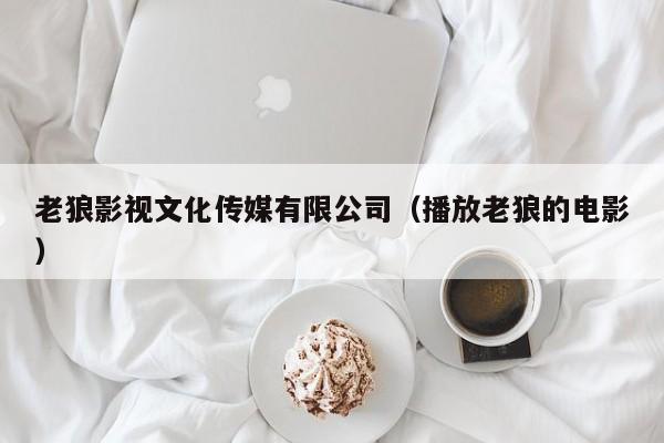 老狼影视文化传媒有限公司(播放老狼的电影)