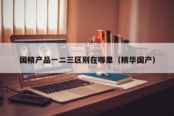 国精产品一二三区别在哪里(精华国产)