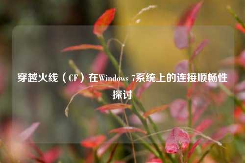 穿越火线(CF)在Windows 7系统上的连接顺畅性探讨