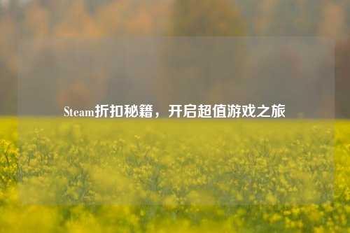 Steam折扣秘籍，开启超值游戏之旅