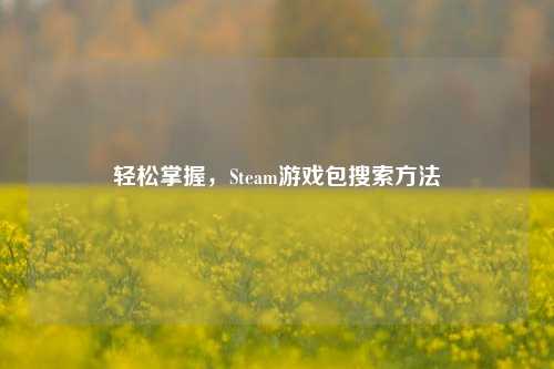 轻松掌握，Steam游戏包搜索方法