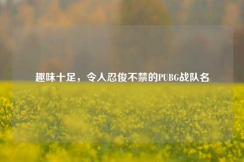 趣味十足，令人忍俊不禁的PUBG战队名