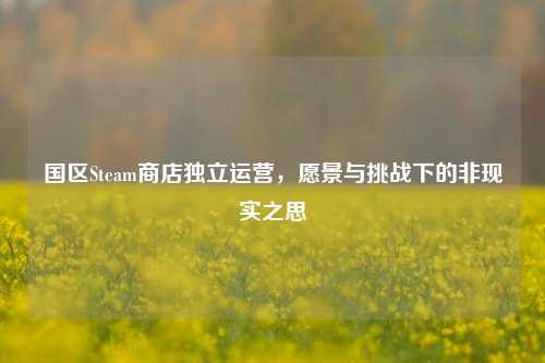 国区Steam商店独立运营，愿景与挑战下的非现实之思