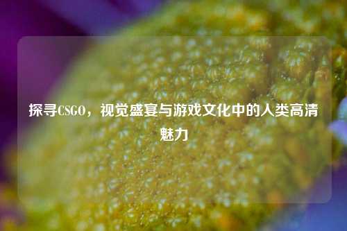 探寻CSGO，视觉盛宴与游戏文化中的人类高清魅力