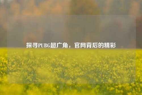 探寻PUBG超广角，官网背后的精彩