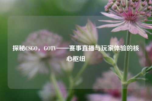 探秘CSGO，GOTV——赛事直播与玩家体验的核心枢纽