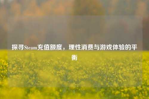 探寻Steam充值额度,理性消费与游戏体验的平衡