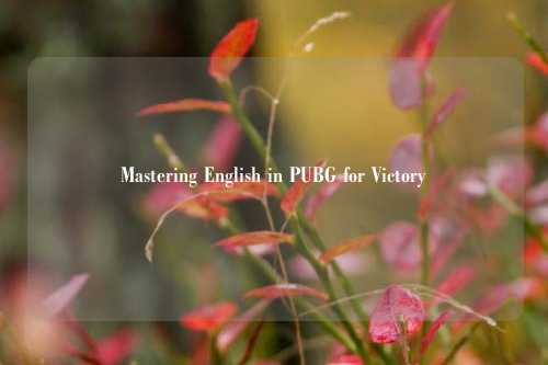 Mastering English in PUBG for Victory