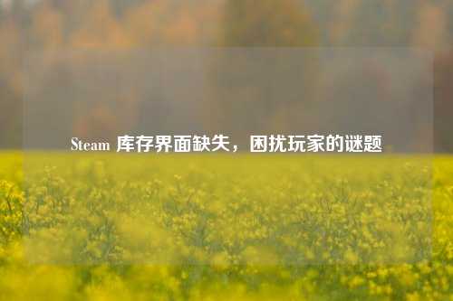 Steam 库存界面缺失,困扰玩家的谜题