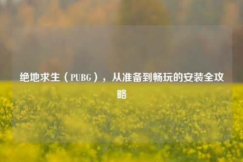 绝地求生（PUBG），从准备到畅玩的安装全攻略