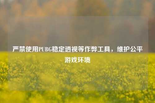 严禁使用PUBG稳定透视等作弊工具,维护公平游戏环境