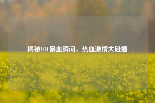 揭秘LOL暴血瞬间，热血***大碰撞