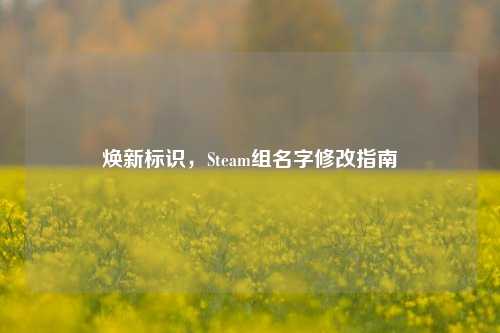 焕新标识，Steam组名字修改指南