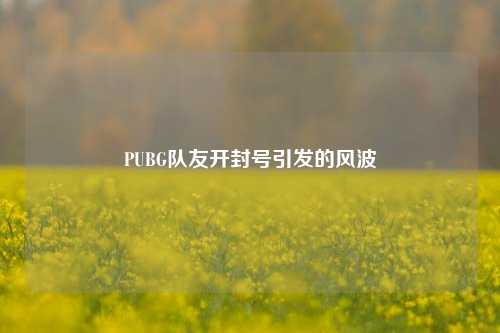 PUBG队友开封号引发的风波