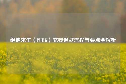 绝地求生(PUBG)充钱退款流程与要点全解析
