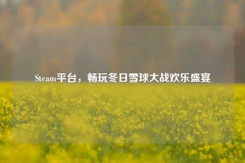 Steam平台,畅玩冬日雪球大战欢乐盛宴