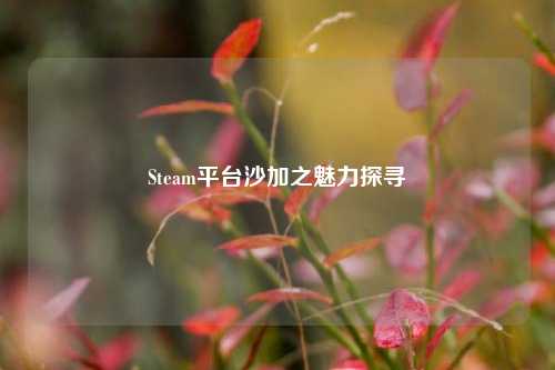 Steam平台沙加之魅力探寻