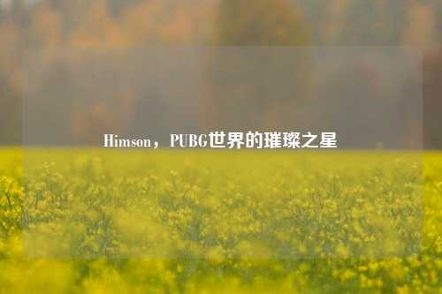 Himson，PUBG世界的璀璨之星