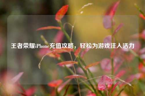王者荣耀iPhone充值攻略，轻松为游戏注入活力