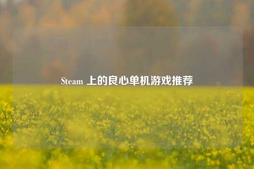 Steam 上的良心单机游戏推荐