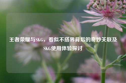 王者荣耀与SKG,看似不搭界背后的奇妙关联及SKG使用体验探讨