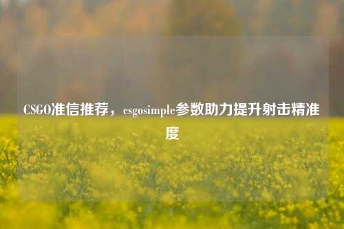 CSGO准信推荐，csgosimple参数助力提升射击精准度