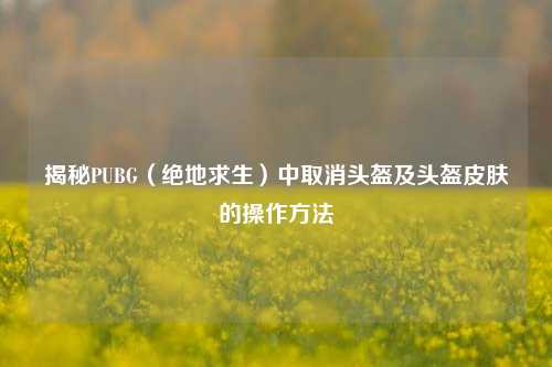 揭秘PUBG(绝地求生)中取消头盔及头盔皮肤的操作 ***