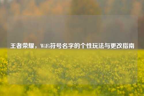 王者荣耀,WiFi符号名字的个性玩法与更改指南