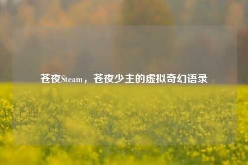 苍夜Steam,苍夜少主的虚拟奇幻语录
