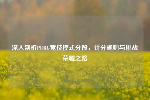 深入剖析PUBG竞技模式分段,计分规则与挑战荣耀之路