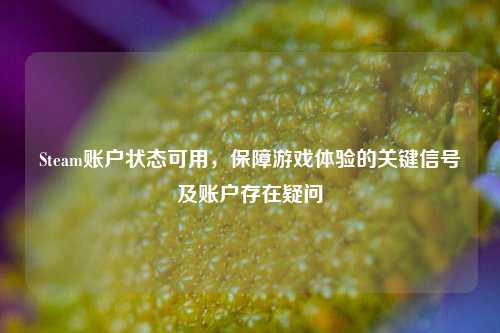 Steam账户状态可用，保障游戏体验的关键信号及账户存在疑问